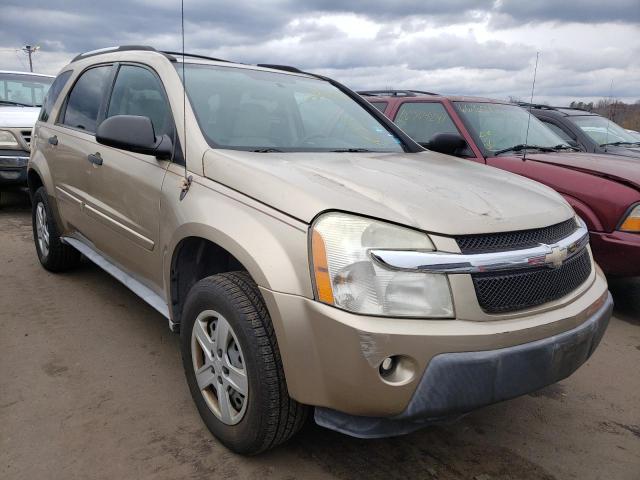 CHEVROLET EQUINOX LS 2005 2cndl13f156026504