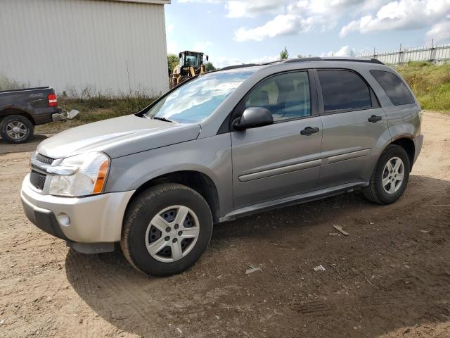 CHEVROLET EQUINOX LS 2005 2cndl13f156074391