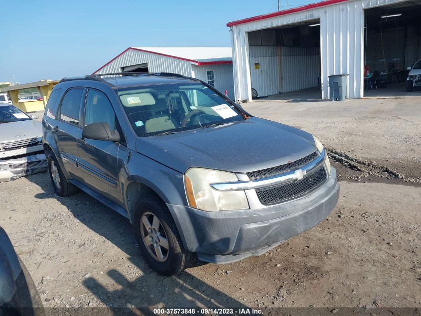 CHEVROLET EQUINOX 2005 2cndl13f956013175