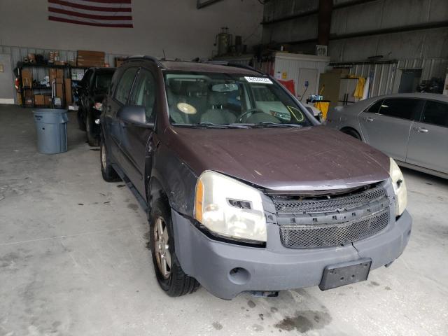 CHEVROLET EQUINOX LS 2008 2cndl23f086312192