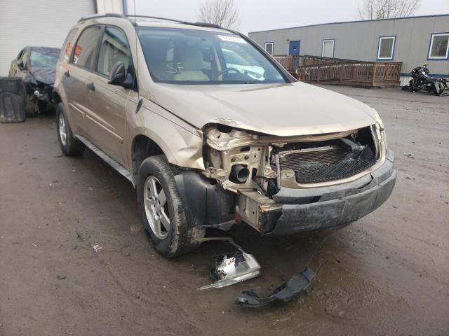 CHEVROLET EQUINOX LS 2005 2cndl23f756129061