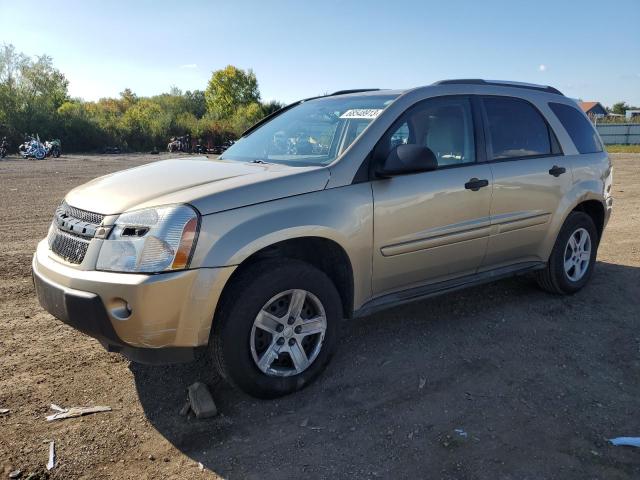 CHEVROLET EQUINOX LS 2005 2cndl23f856176597