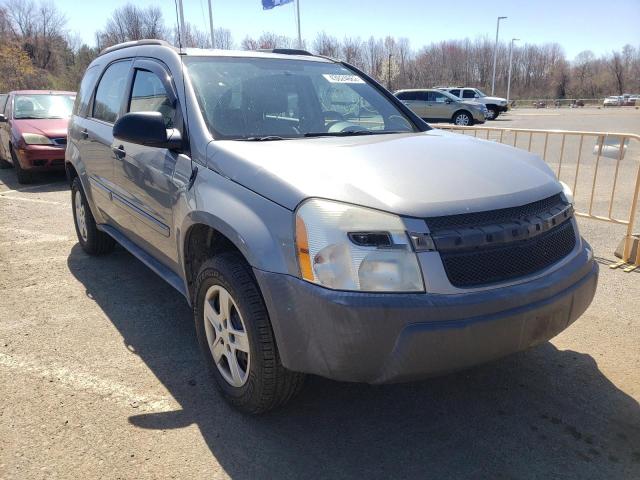 CHEVROLET EQUINOX LS 2005 2cndl23f956110205