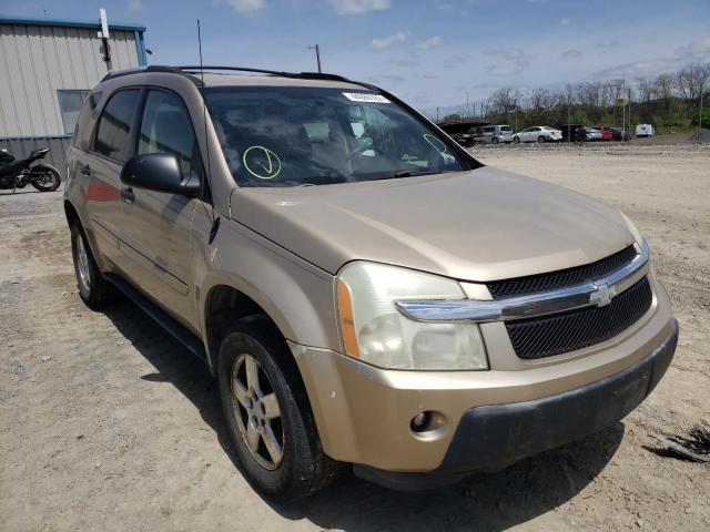 CHEVROLET EQUINOX LS 2005 2cndl23fx56048751