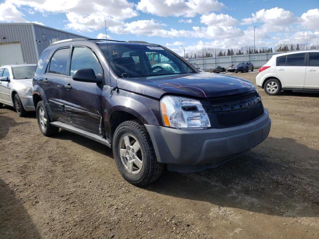 CHEVROLET EQUINOX LS 2006 2cndl23fx66022183