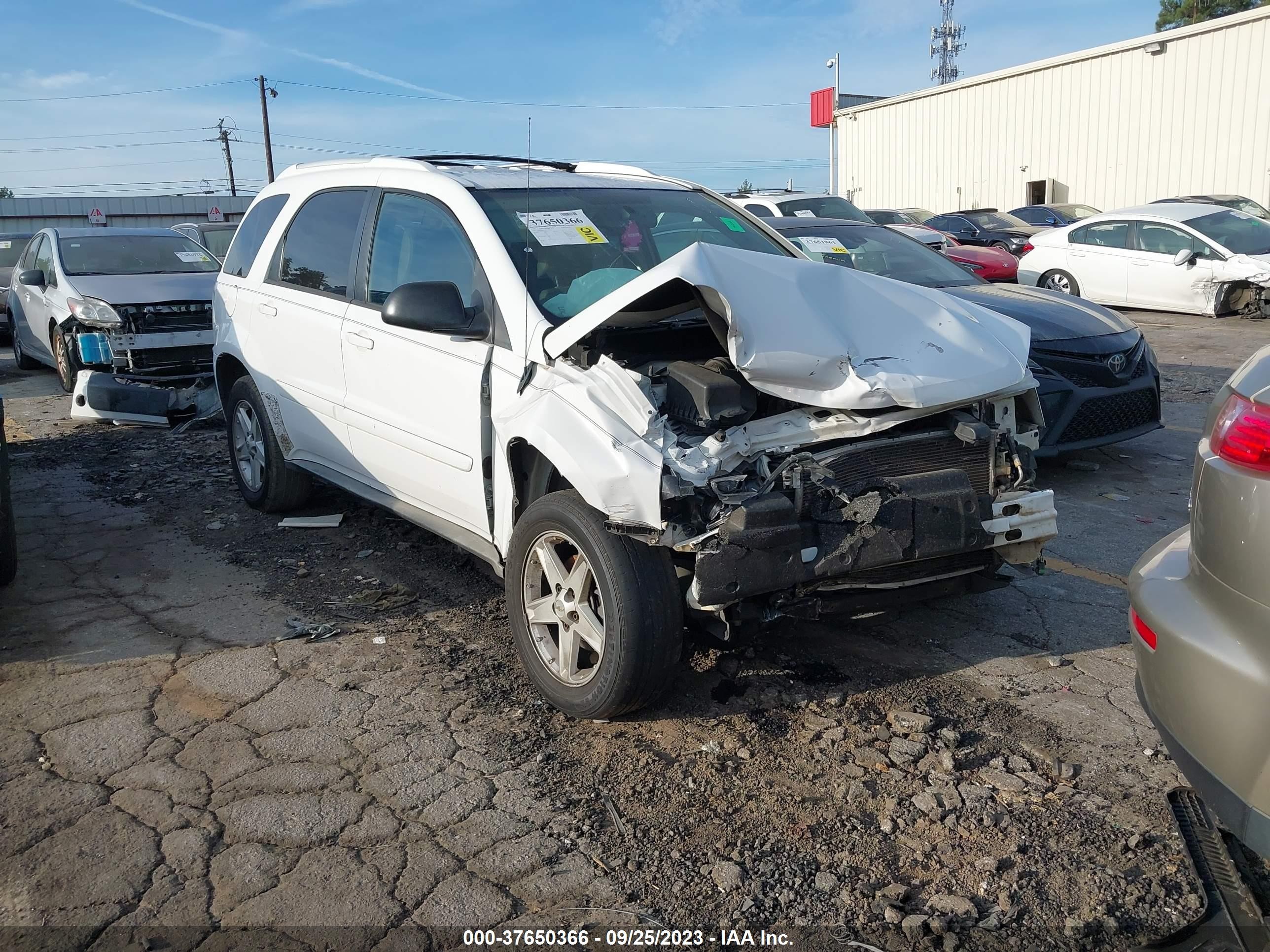 CHEVROLET EQUINOX 2005 2cndl63f156191773