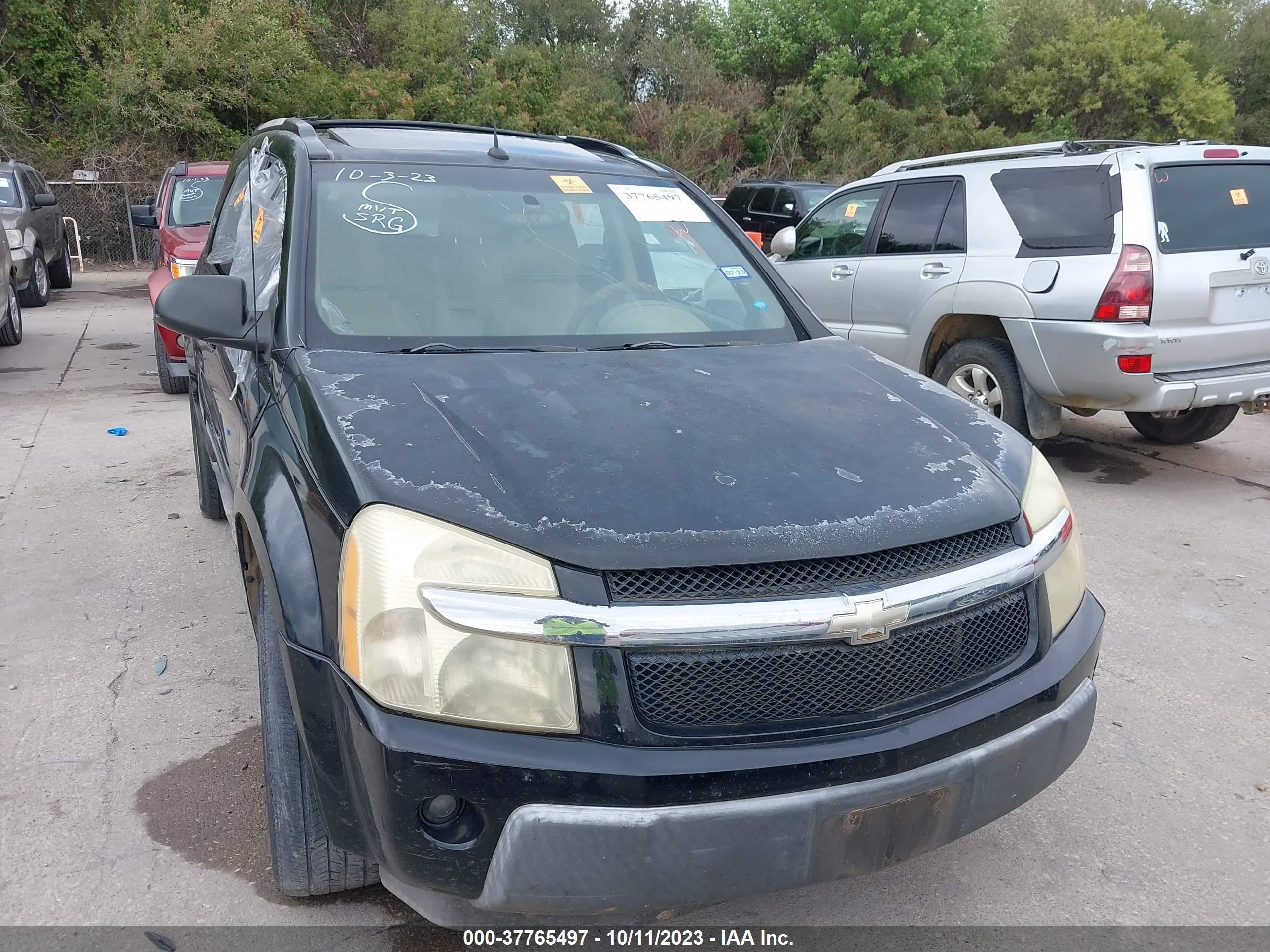 CHEVROLET EQUINOX 2005 2cndl63f256155350