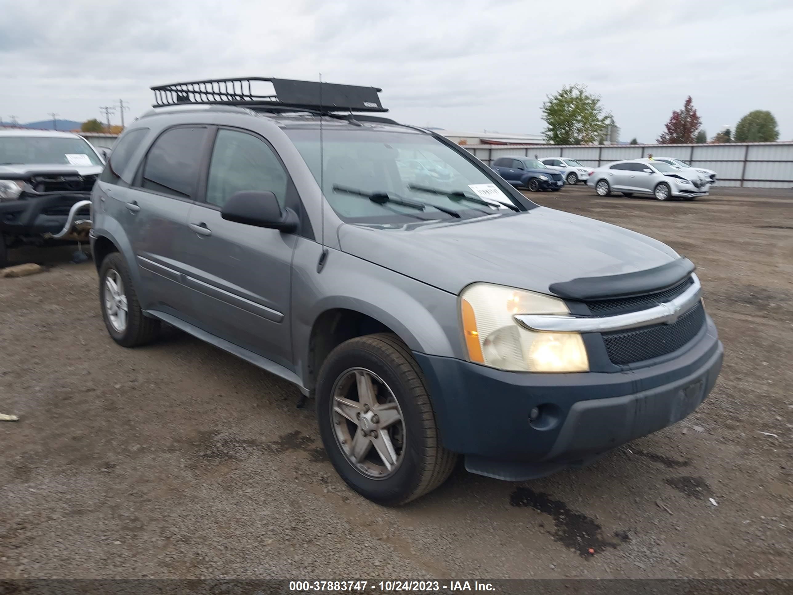 CHEVROLET EQUINOX 2005 2cndl73f456184659