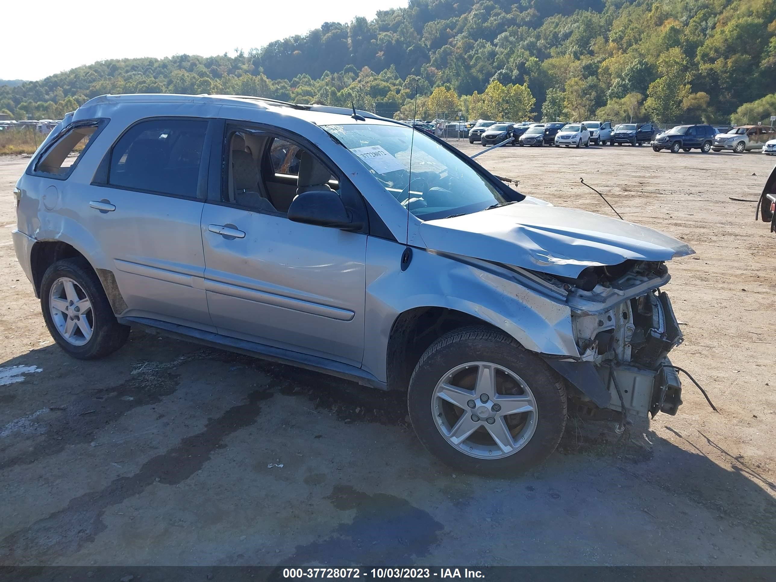 CHEVROLET EQUINOX 2005 2cndl73f856055811