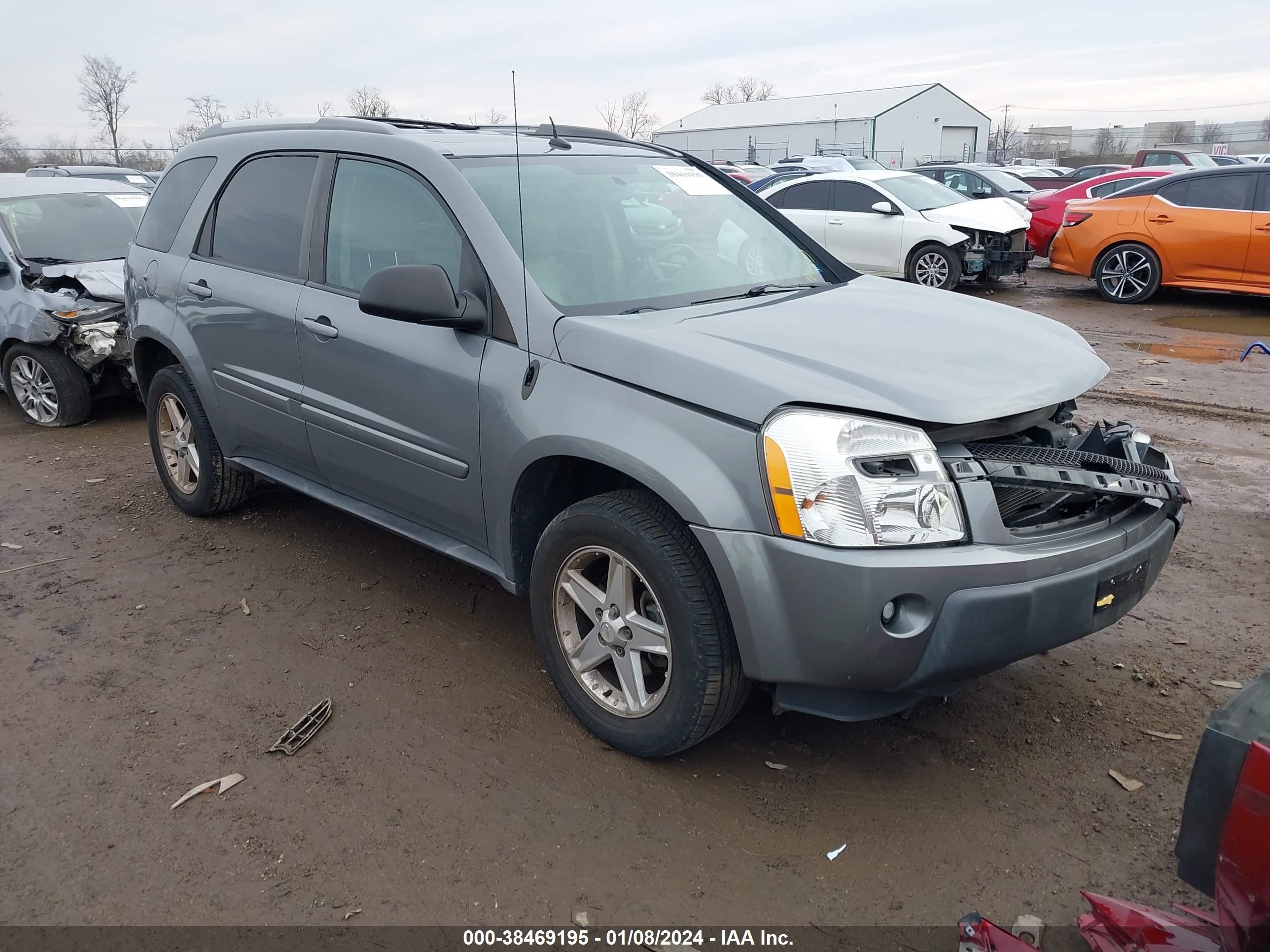 CHEVROLET EQUINOX 2005 2cndl73fx56071251