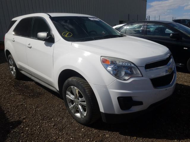 CHEVROLET EQUINOX LS 2010 2cnflcew6a6404862