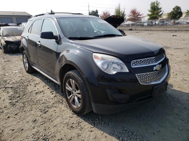 CHEVROLET EQUINOX LT 2011 2cnfleec3b6241302