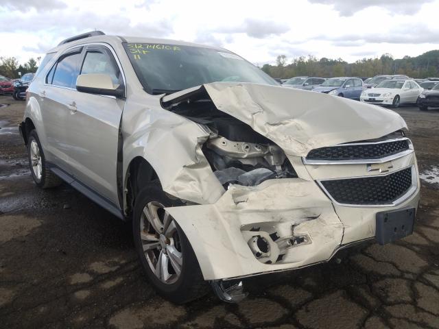 CHEVROLET EQUINOX LT 2011 2cnfleec8b6249458