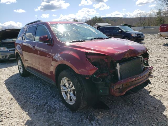 CHEVROLET EQUINOX LT 2011 2cnfleec9b6396839