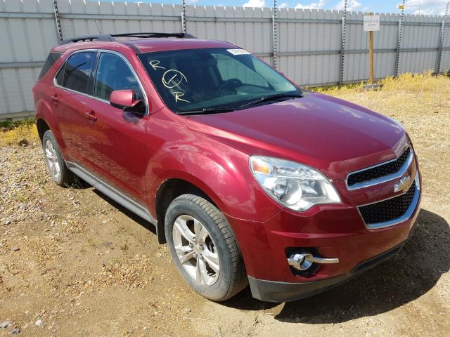 CHEVROLET EQUINOX LT 2011 2cnfleecxb6310843