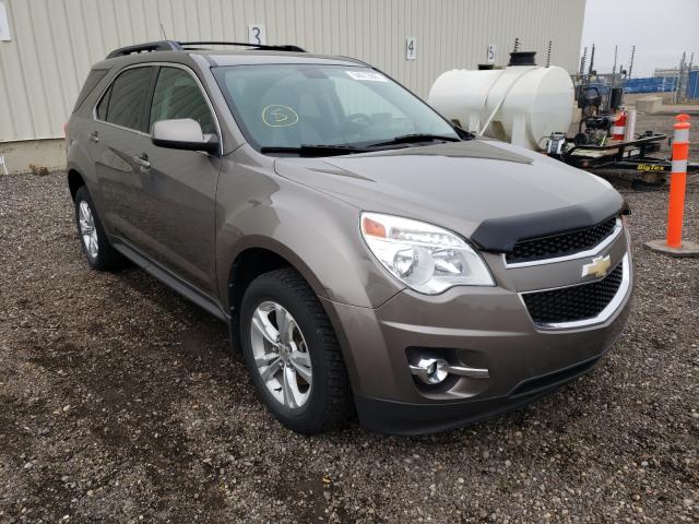 CHEVROLET EQUINOX LT 2010 2cnfleew0a6362040