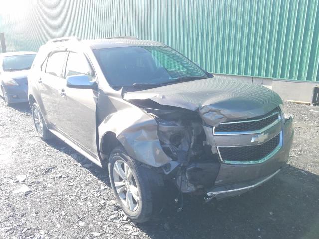 CHEVROLET EQUINOX LT 2010 2cnflnew2a6332411