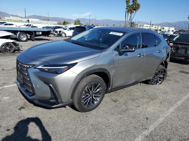 LEXUS NX 350H 2023 2d4gp44l35r209013