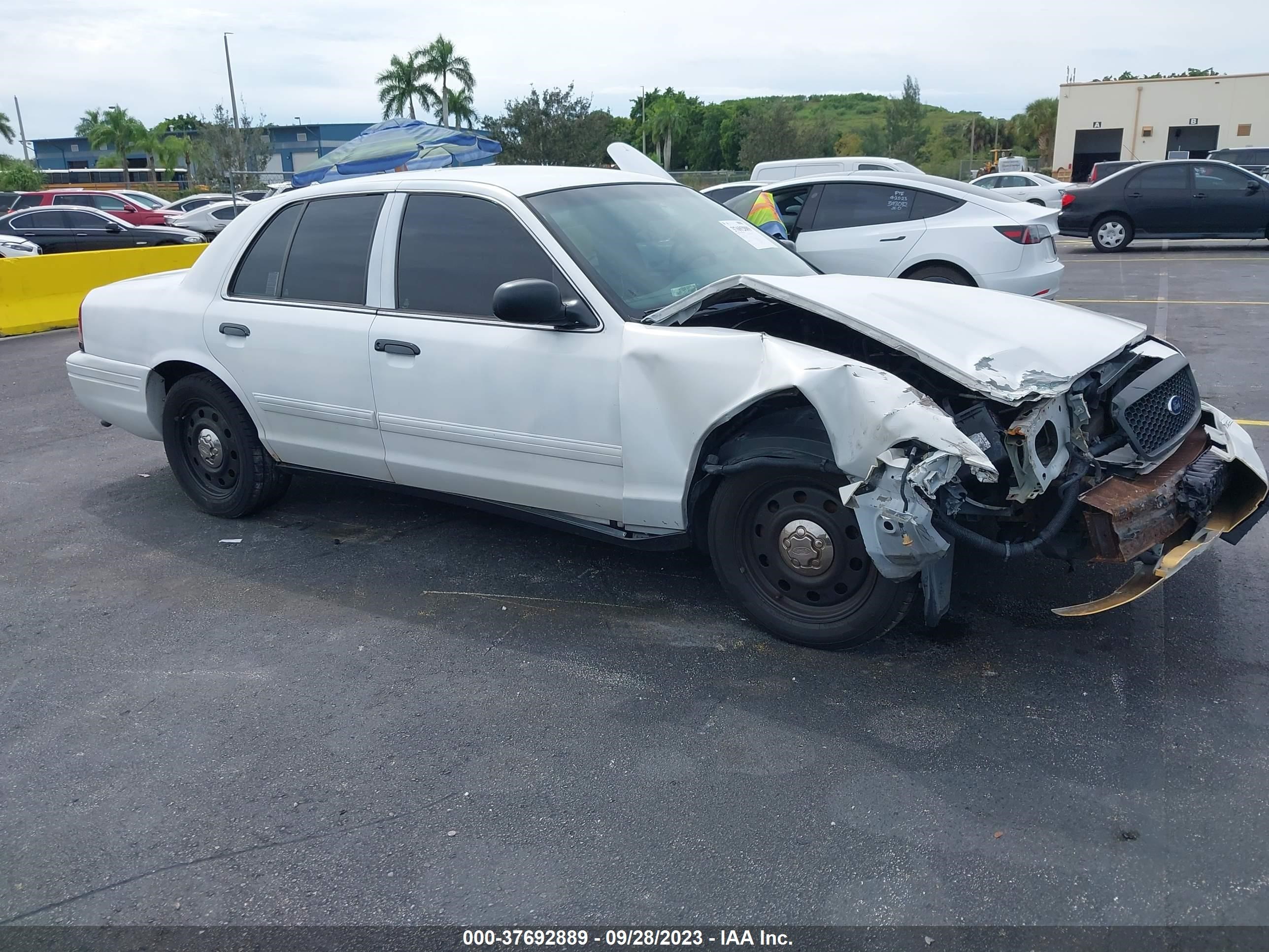 FORD CROWN VICTORIA 2009 2fahp71v89x148872