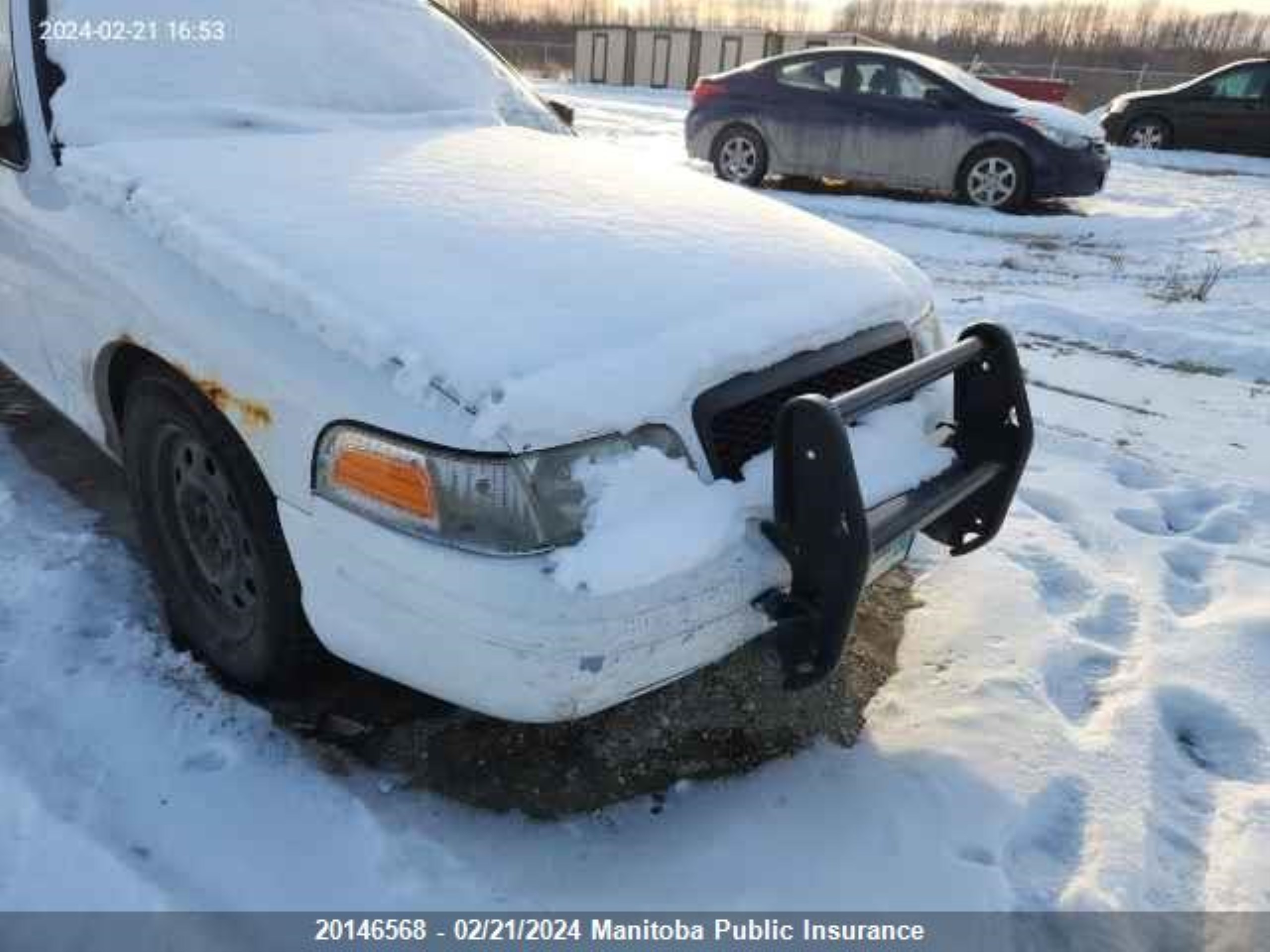 FORD CROWN VICTORIA 2006 2fahp71w26x127231