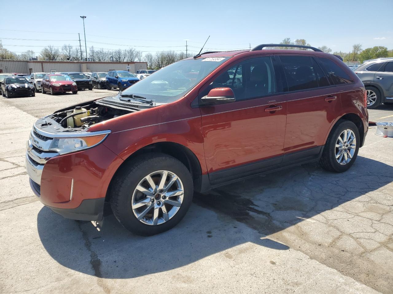 FORD EDGE 2014 2fmdk3j99ebb19211