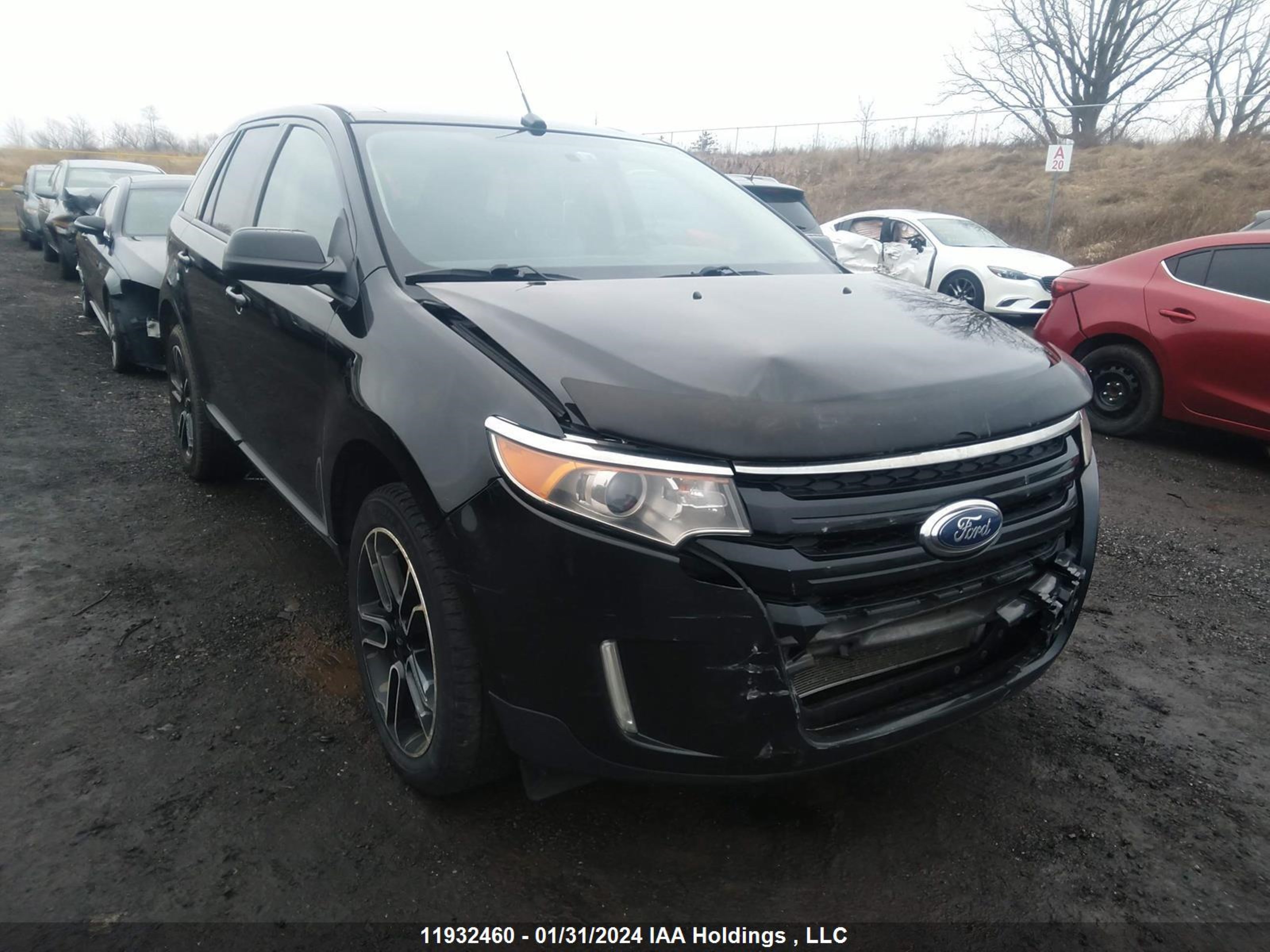 FORD EDGE 2014 2fmdk3jc2eba69442