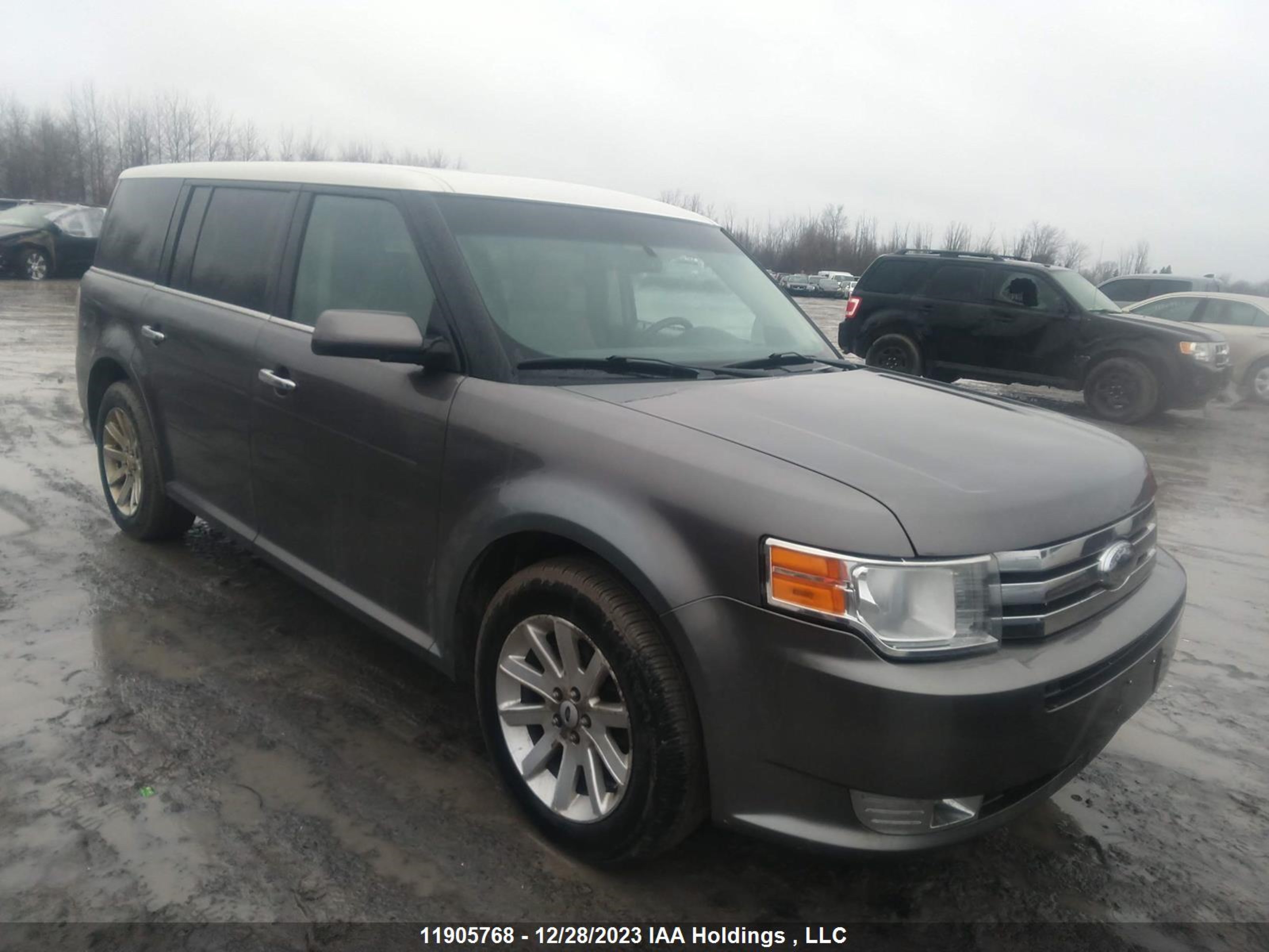 FORD FLEX 2009 2fmek62c19ba89241