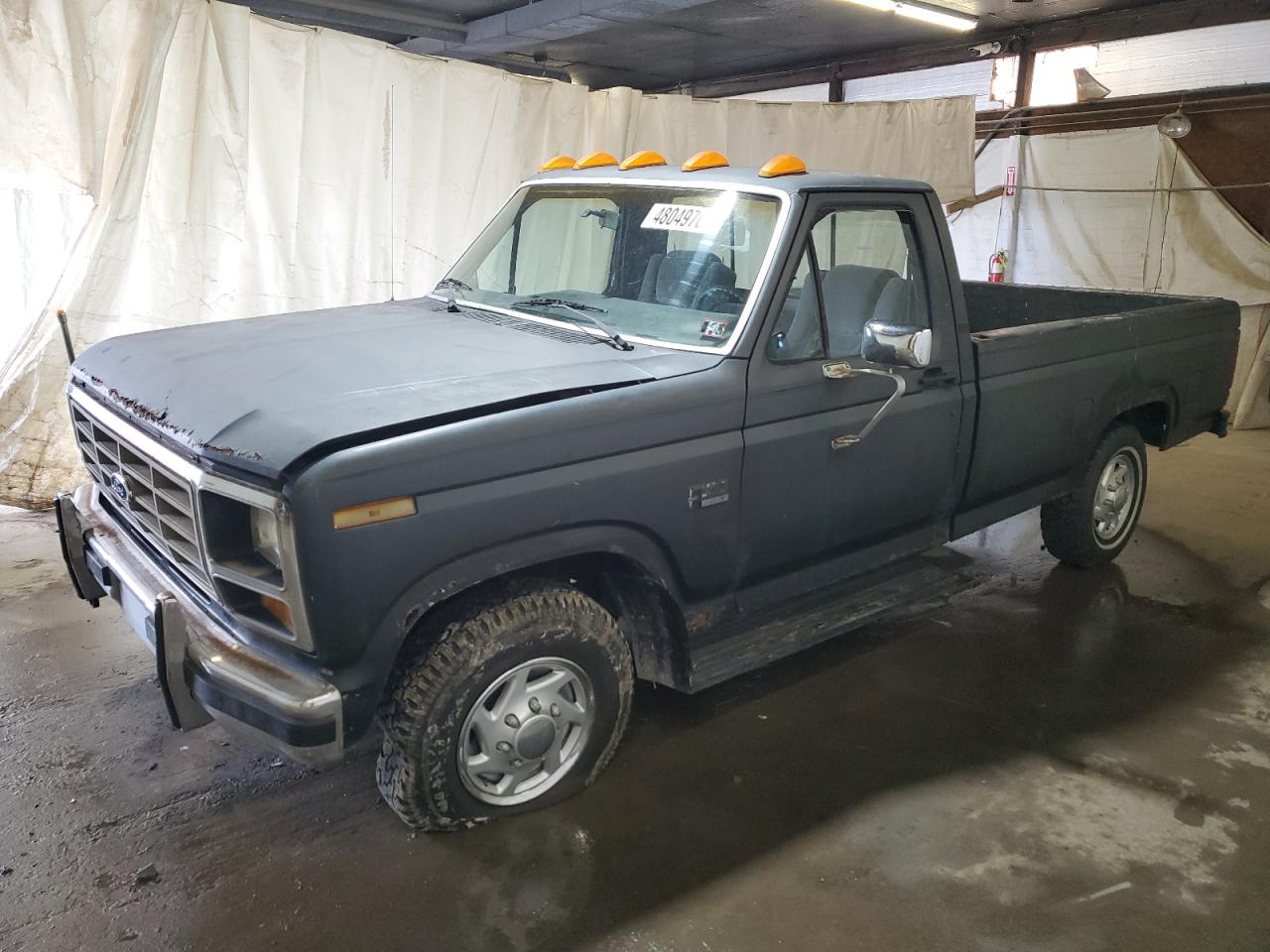 FORD F-150 1982 2ftef15g2cca66563