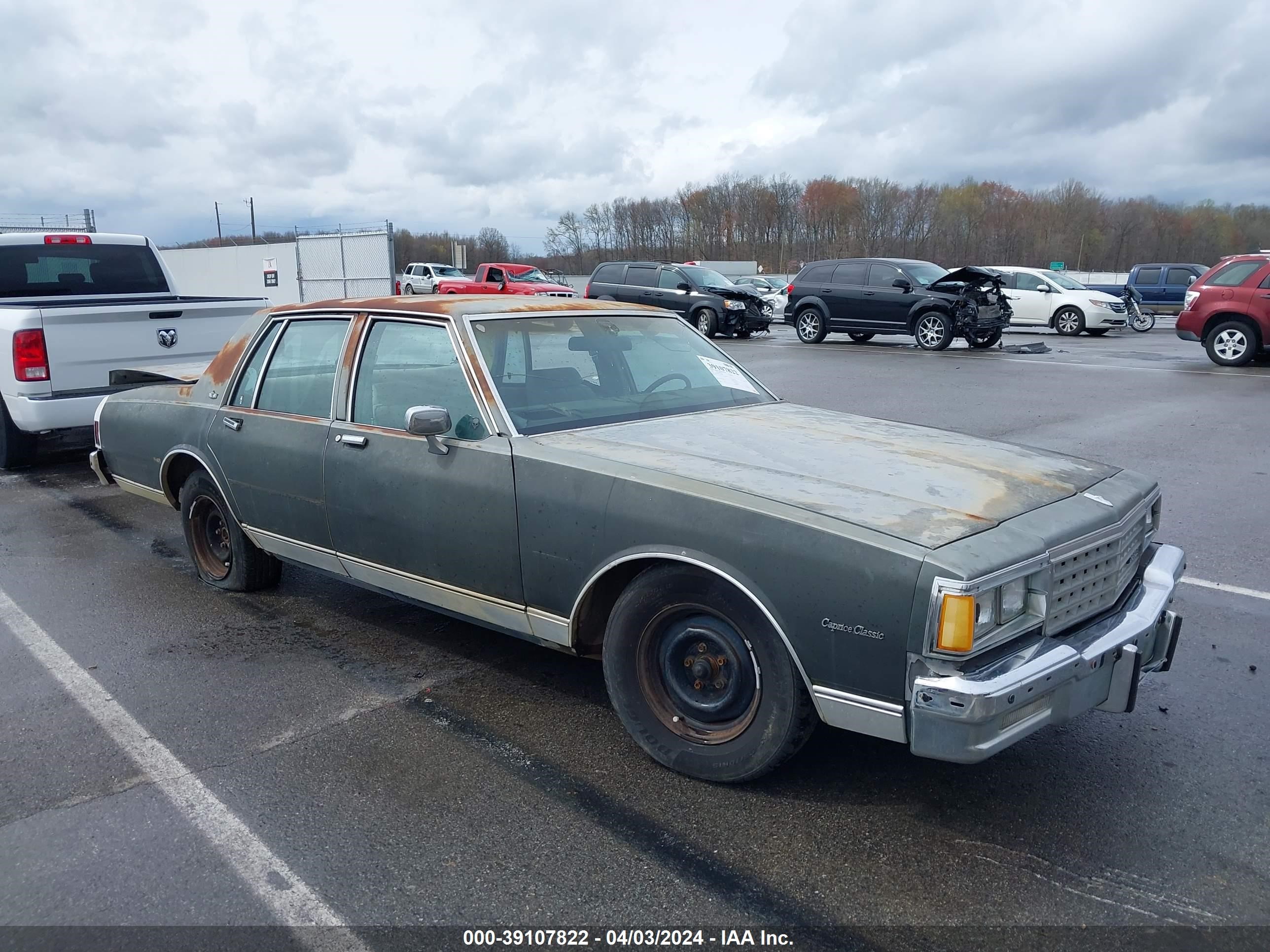 CHEVROLET CAPRICE 1984 2g1an69h7e9153949