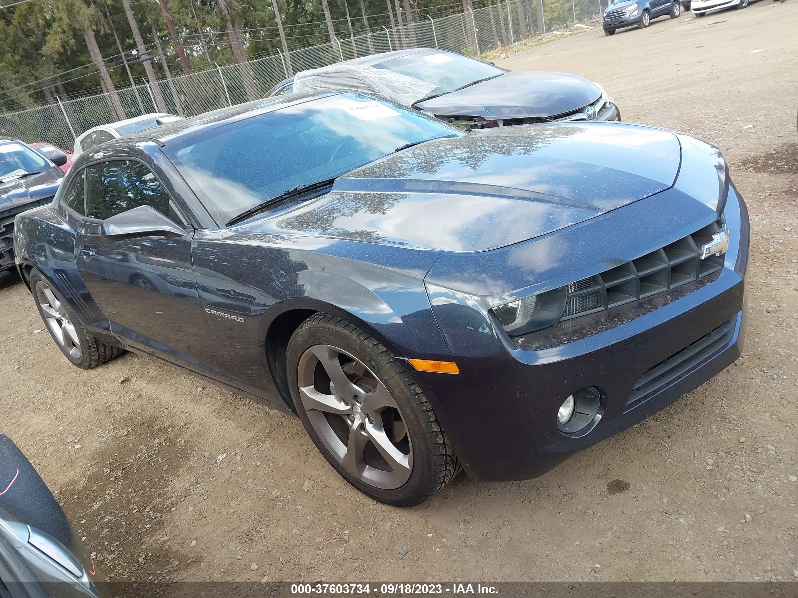 CHEVROLET CAMARO 2013 2g1fb1e32d9241592