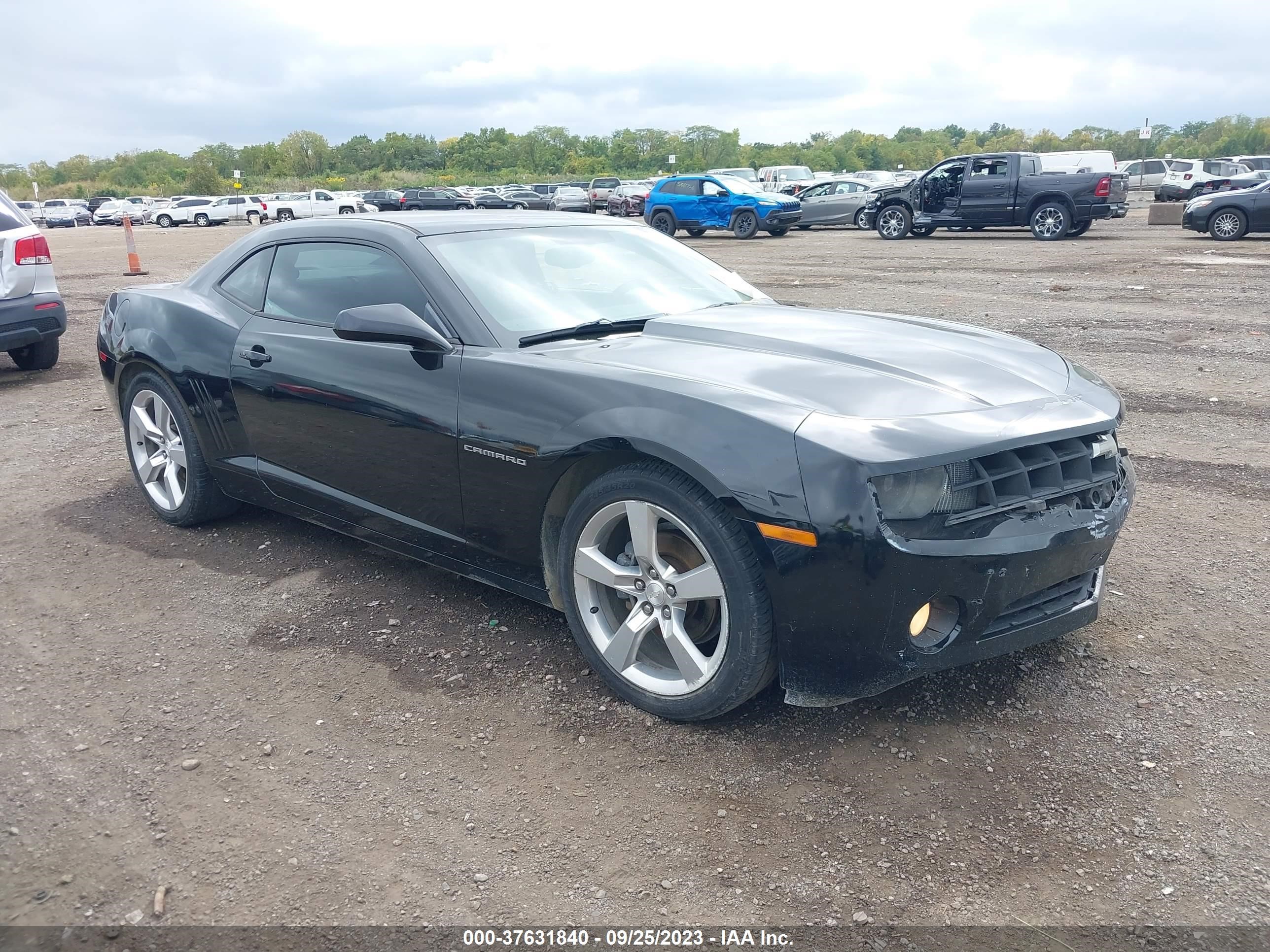 CHEVROLET CAMARO 2011 2g1fb1ed8b9141020