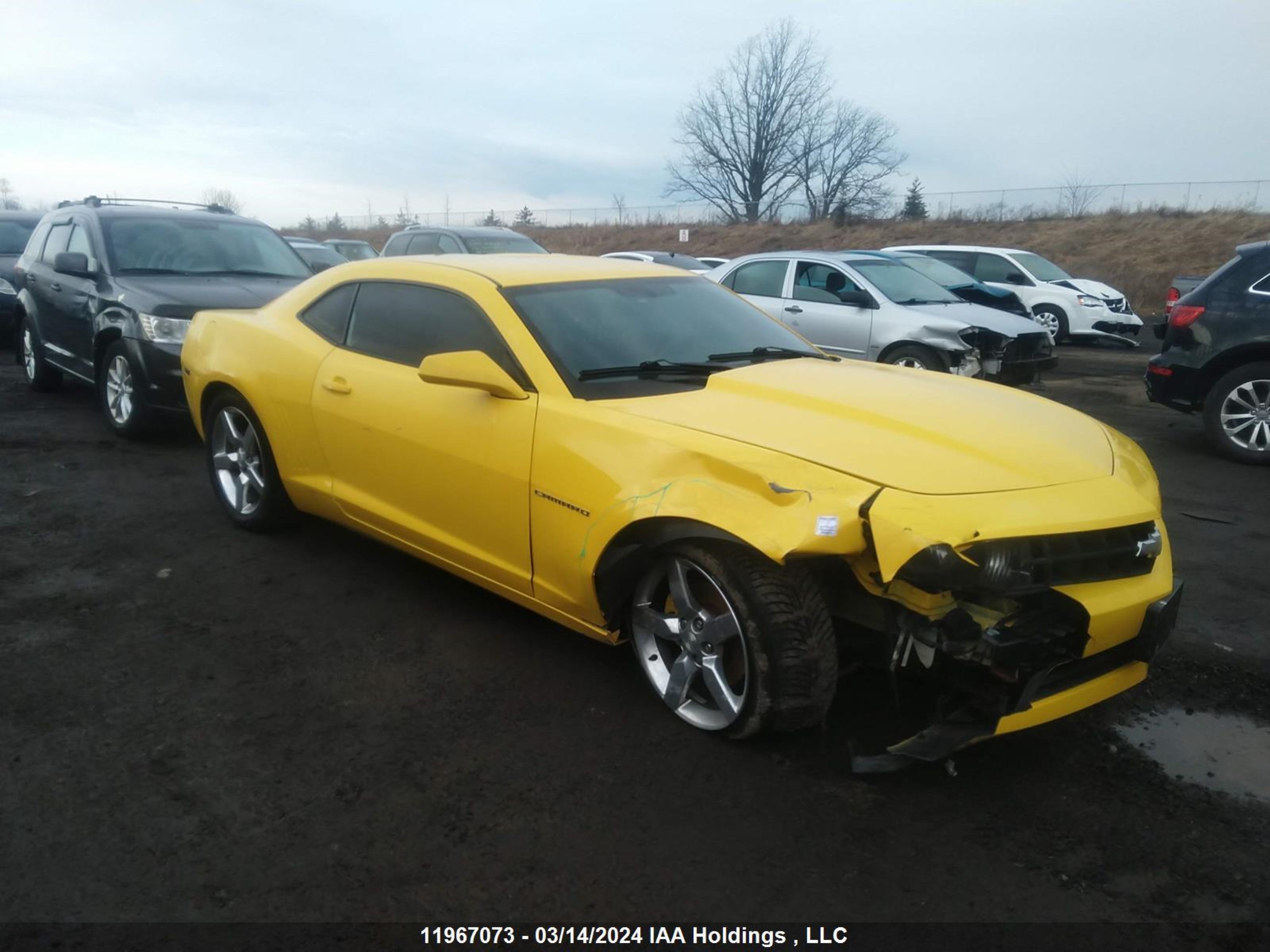 CHEVROLET CAMARO 2011 2g1fb1ed9b9185351