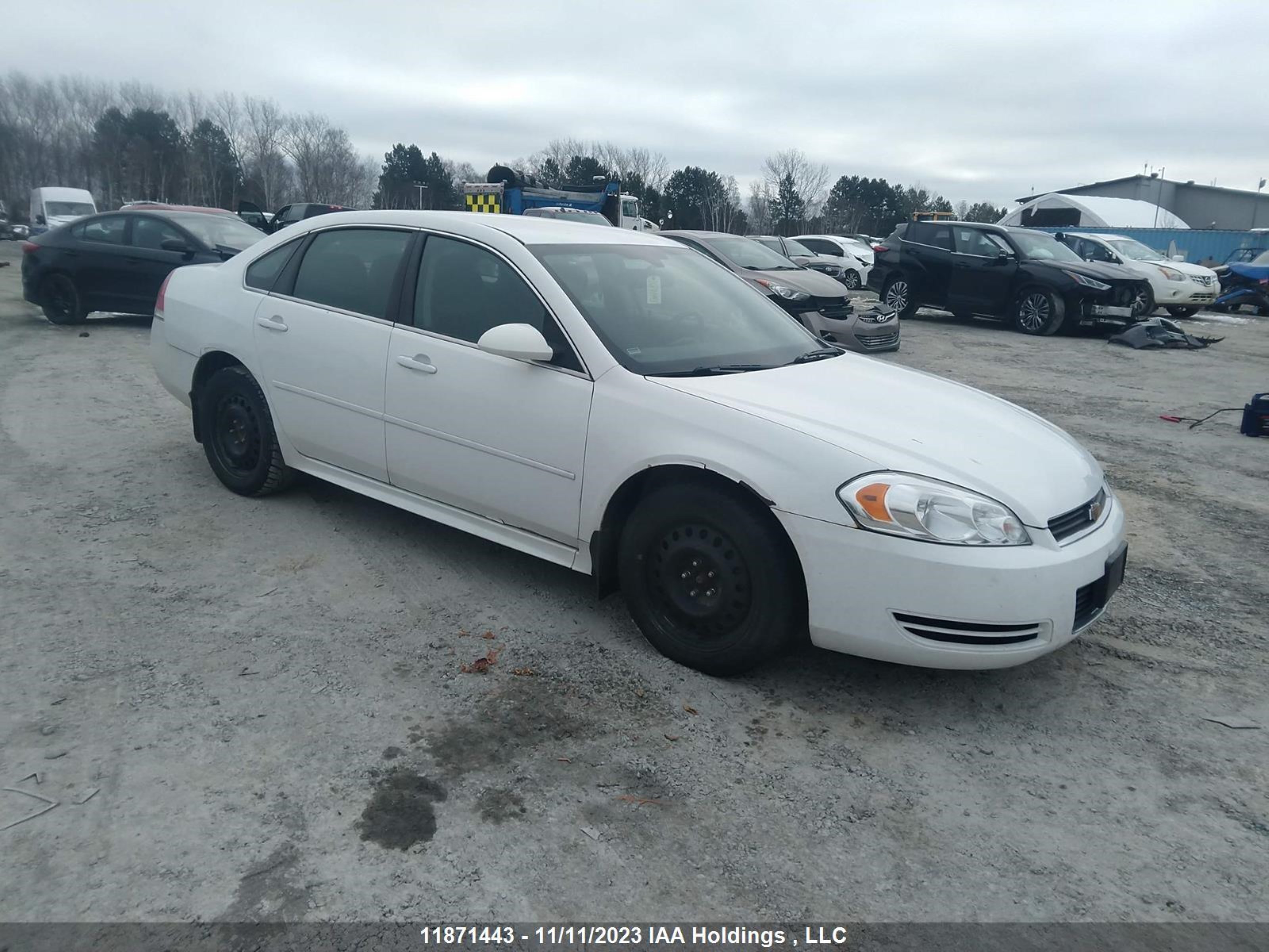 CHEVROLET IMPALA 2011 2g1wb5ek8b1329959