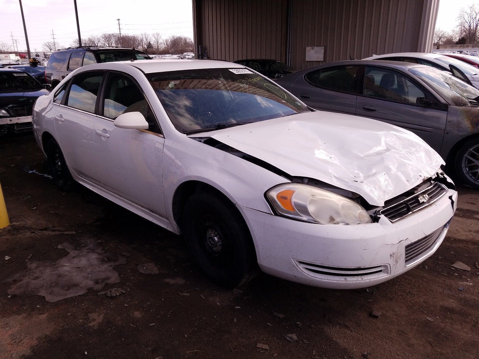 CHEVROLET IMPALA POL 2010 2g1wd5em6a1232740