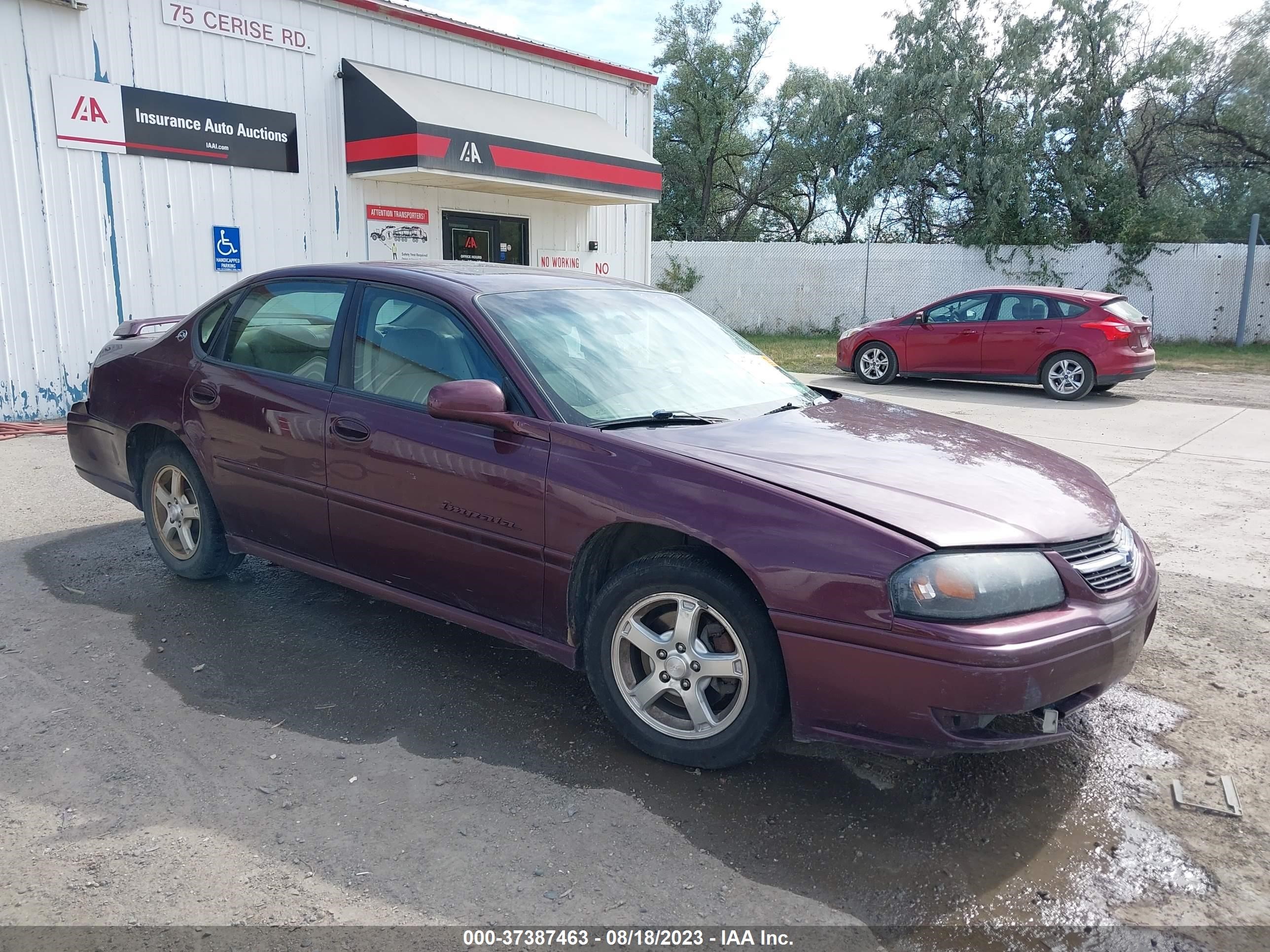 CHEVROLET IMPALA 2004 2g1wh52k049377706