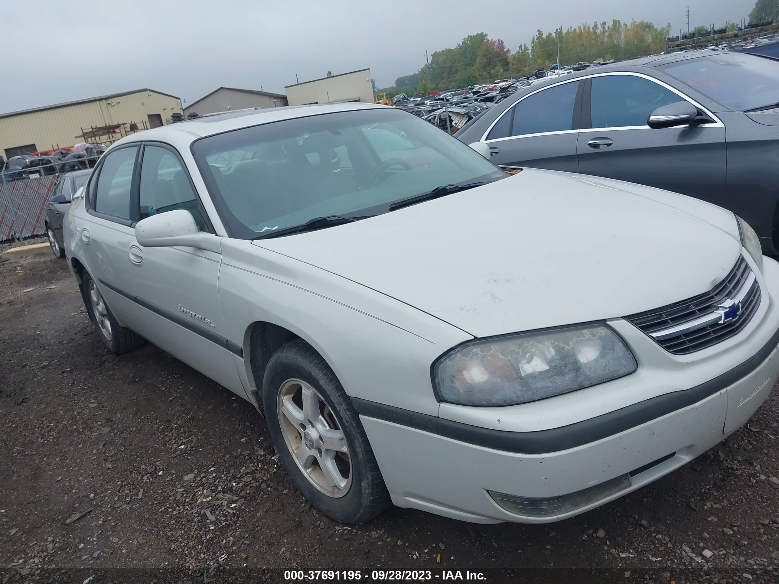 CHEVROLET IMPALA 2003 2g1wh52k839300452