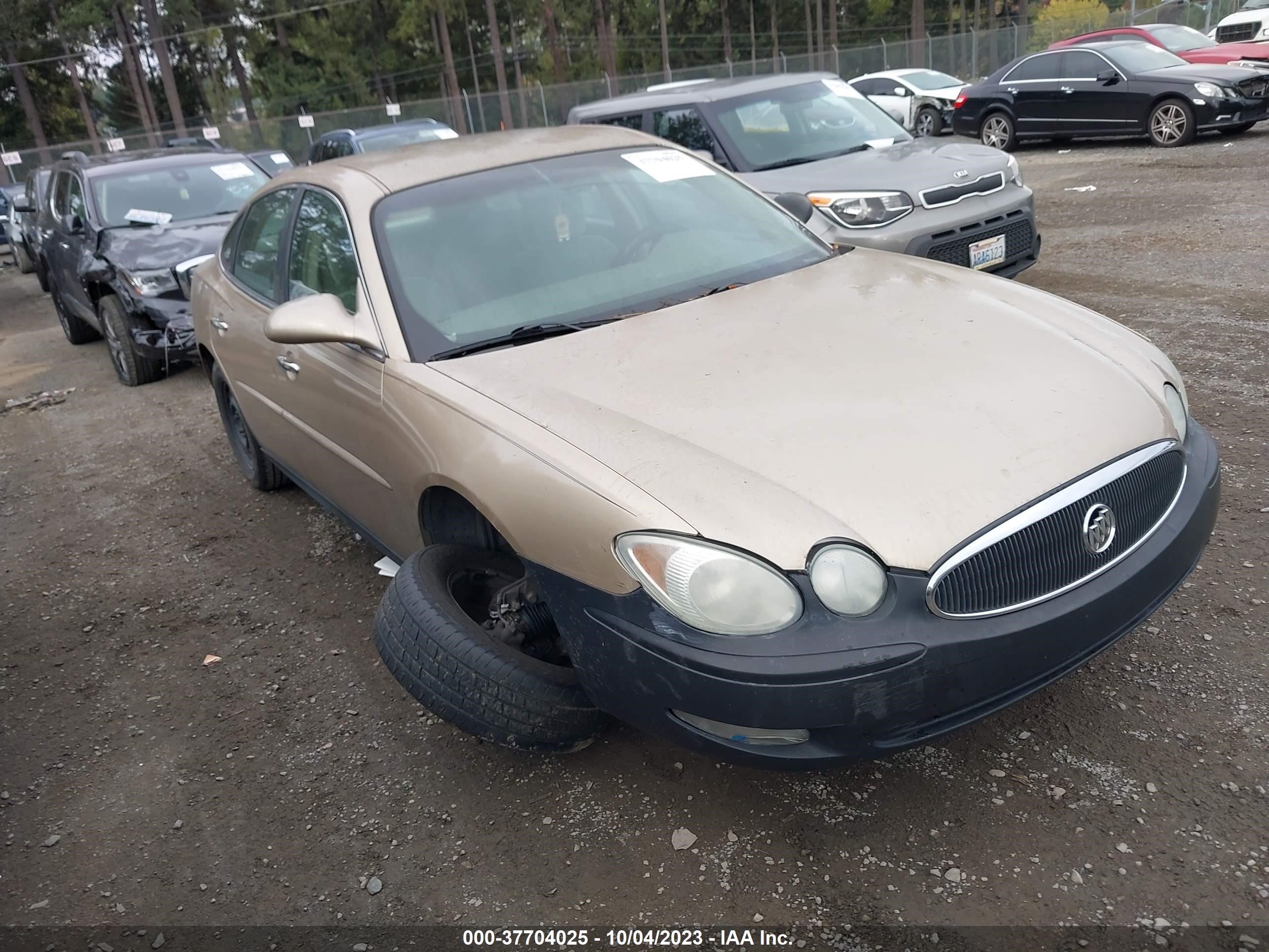 BUICK LACROSSE 2005 2g4wc532051332832