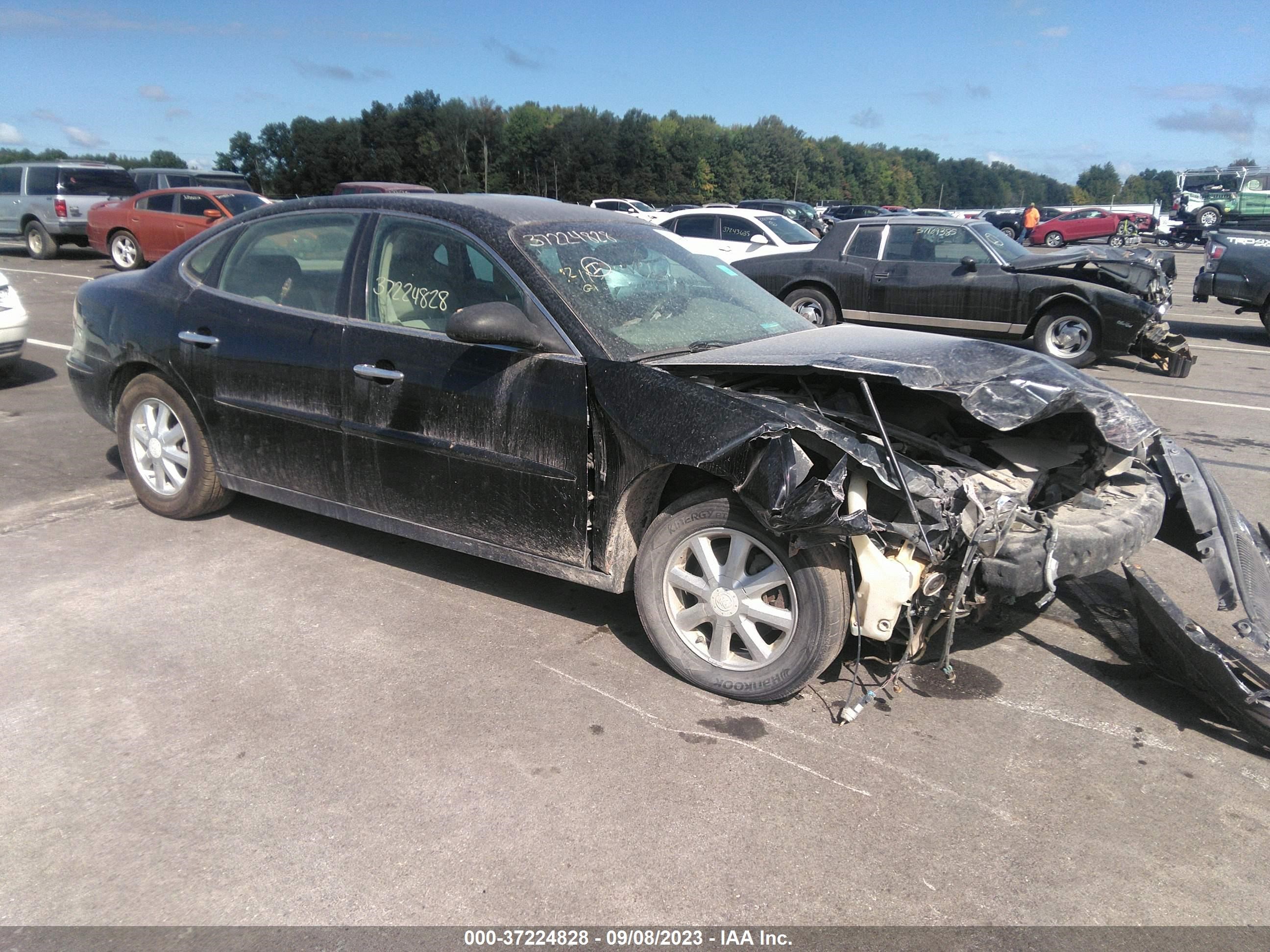 BUICK LACROSSE 2006 2g4wc582961177398