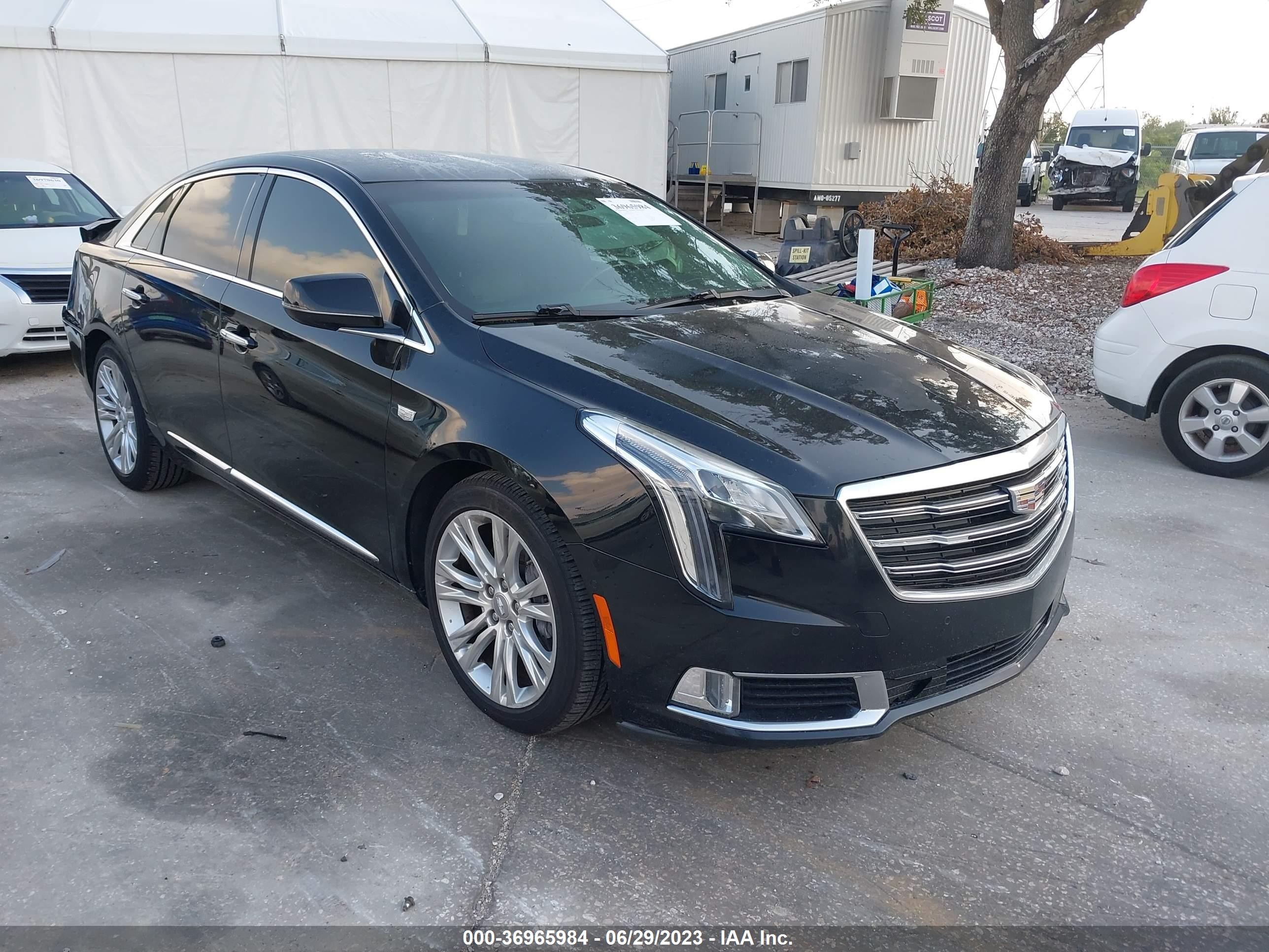 CADILLAC XTS 2019 2g61m5s3xk9110921