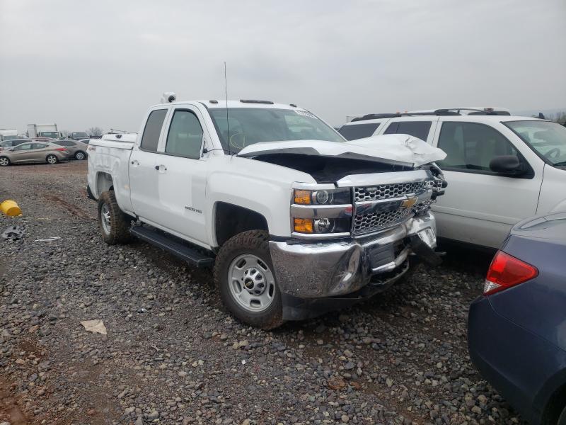 CHEVROLET SILVERADO 2019 2gc2kreg2k1195149