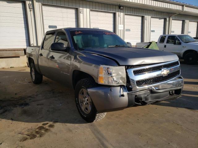 CHEVROLET SILVERADO 2007 2gcec13c871642585