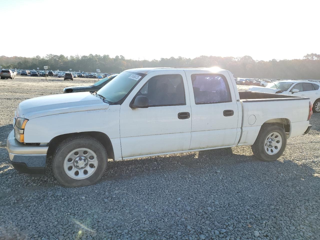 CHEVROLET SILVERADO 2005 2gcec13t151161252