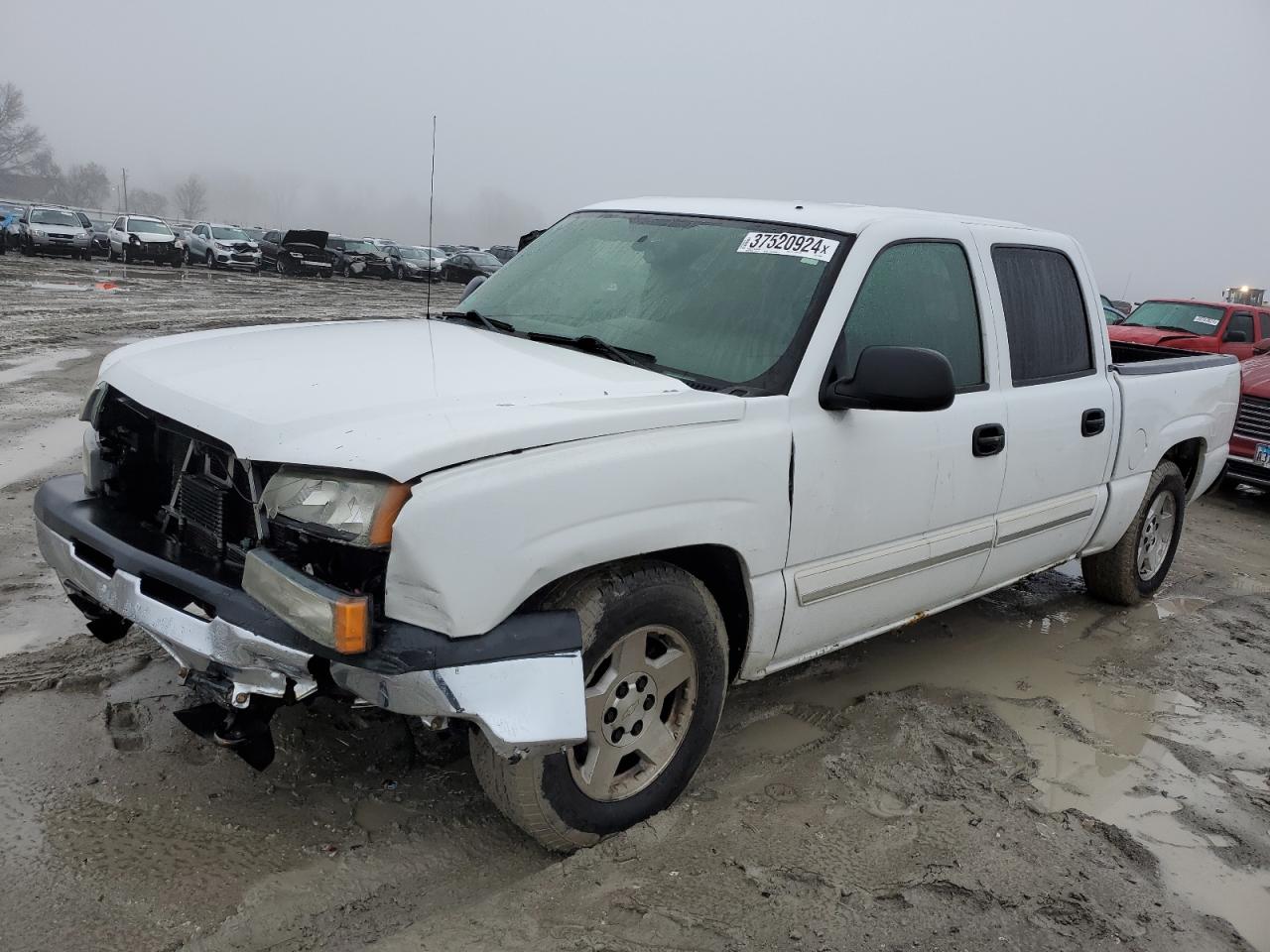 CHEVROLET SILVERADO 2005 2gcec13t251399675