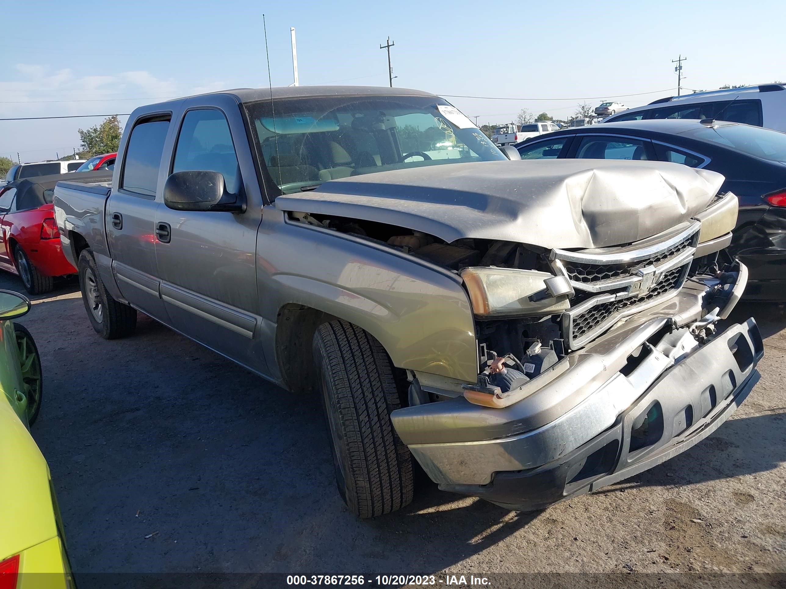 CHEVROLET SILVERADO 2006 2gcec13v161324016