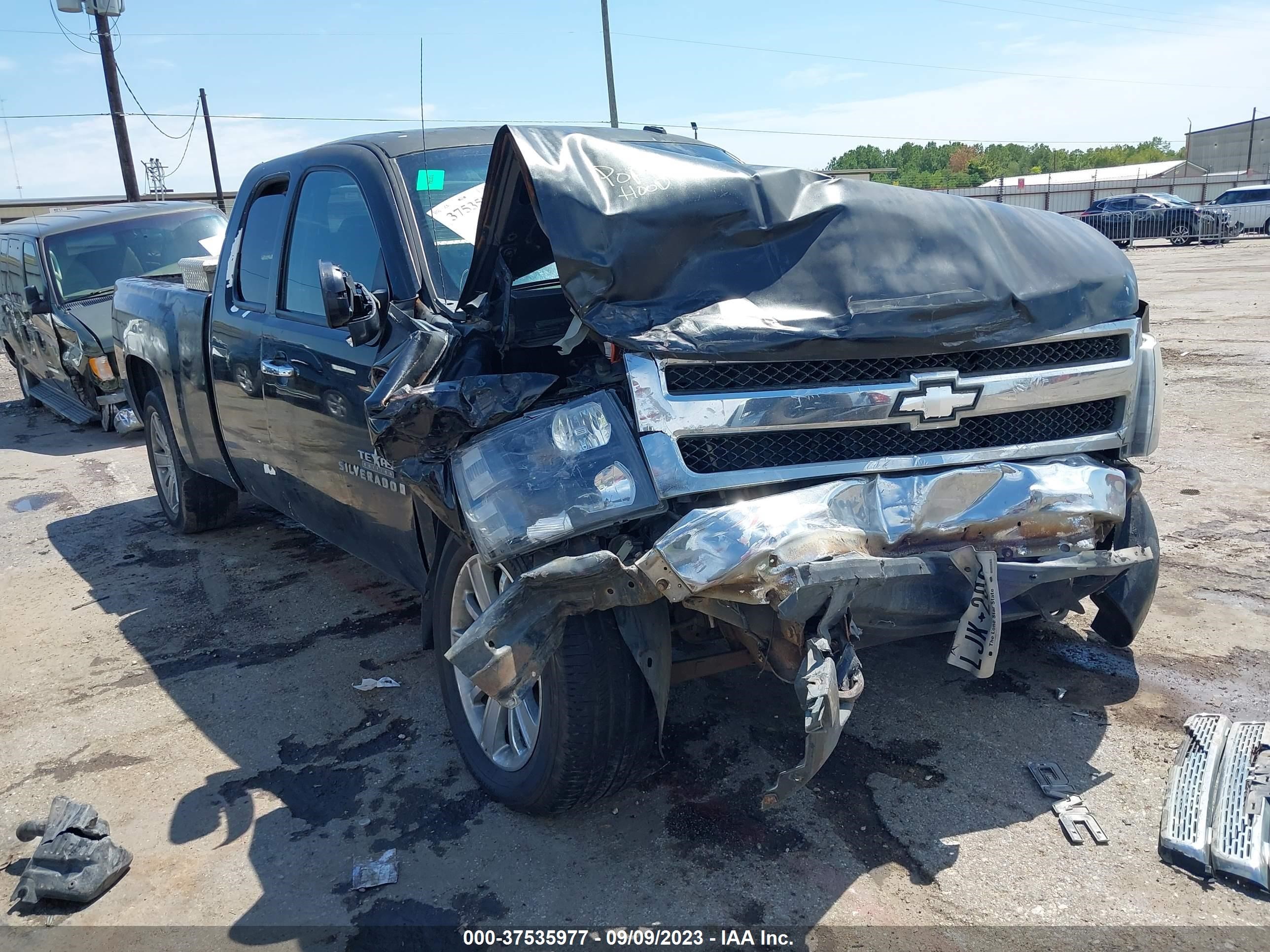 CHEVROLET SILVERADO 2009 2gcec29j991120966