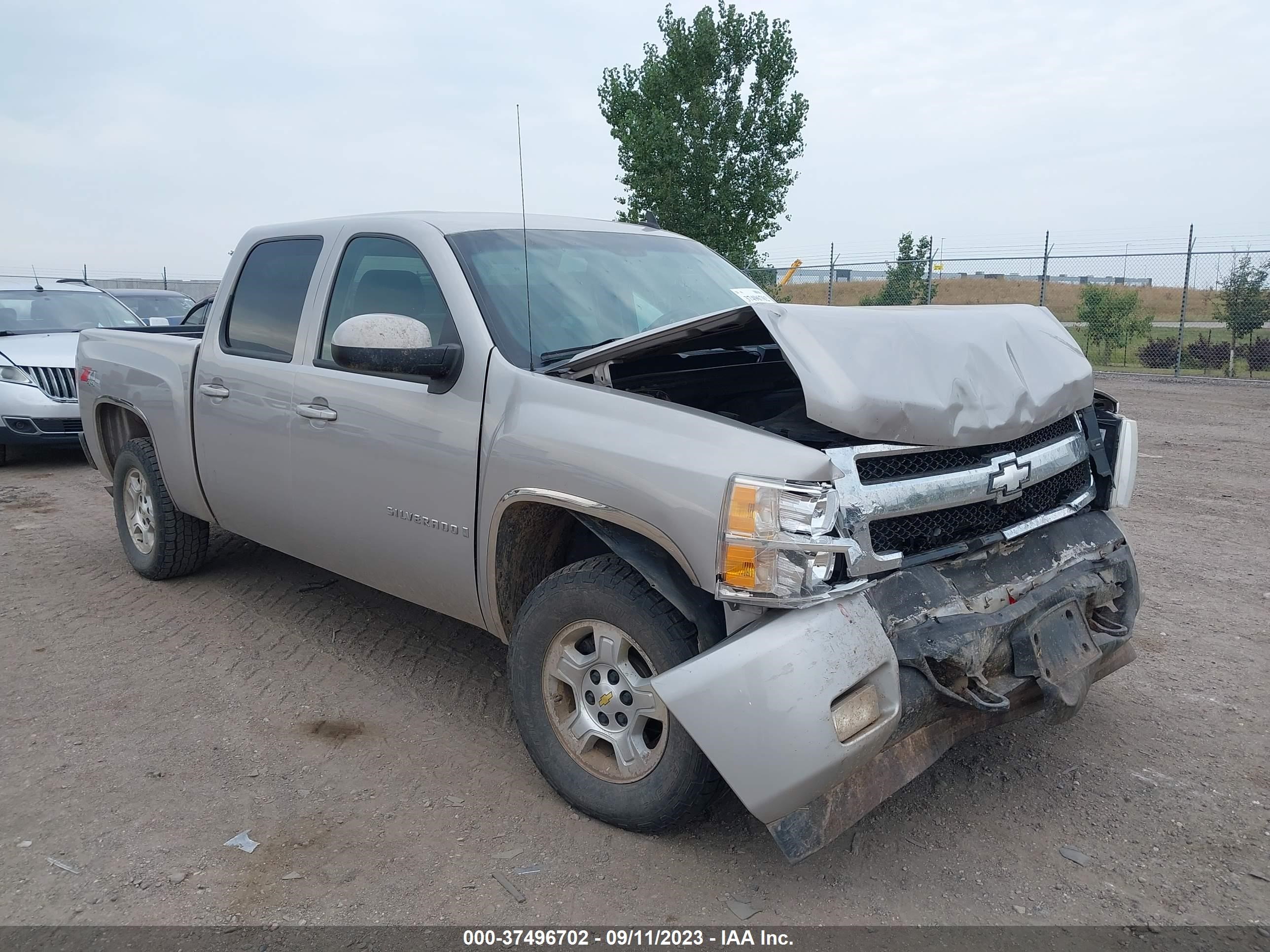 CHEVROLET SILVERADO 2007 2gcek13m071535672