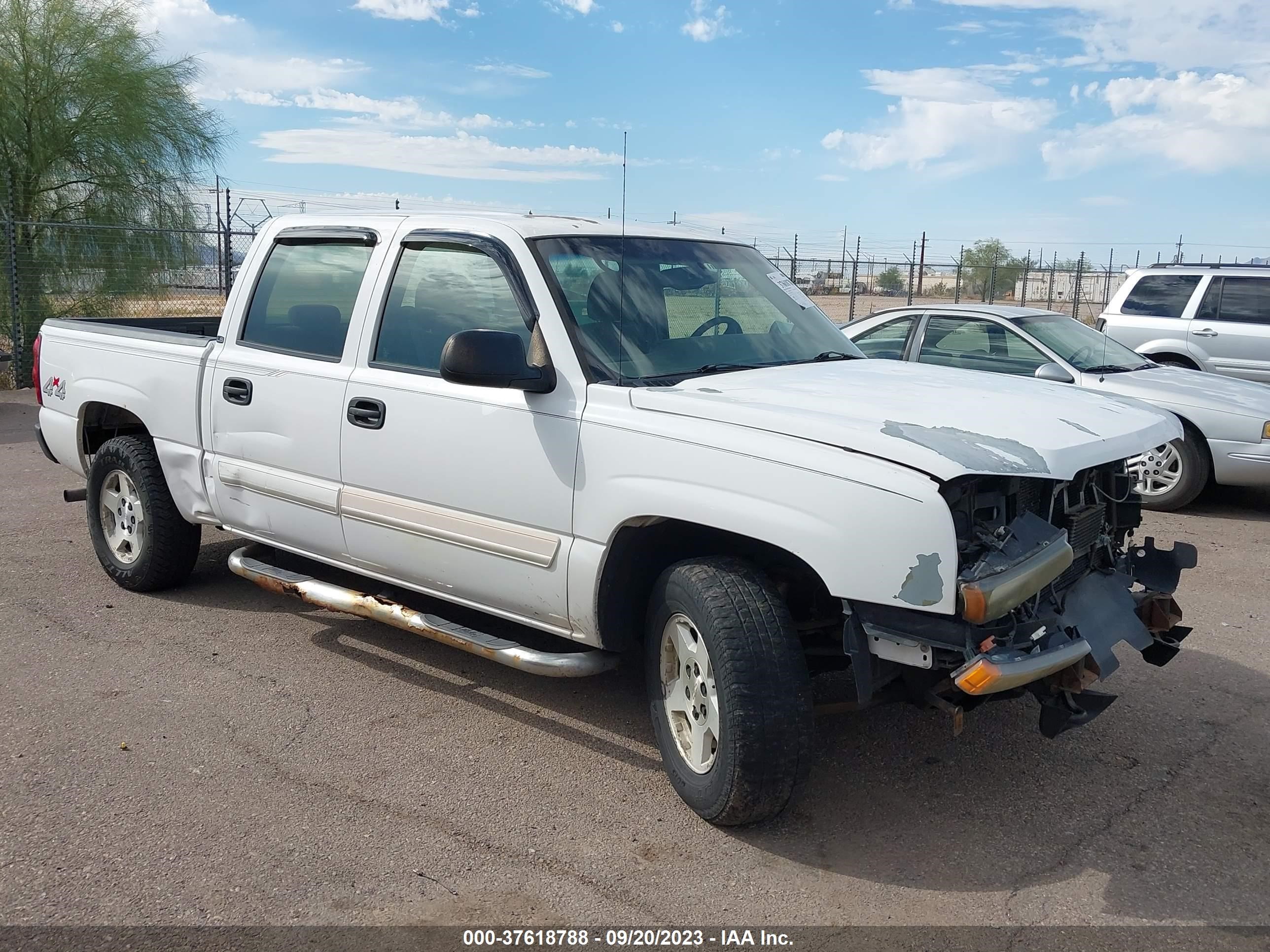 CHEVROLET SILVERADO 2005 2gcek13t051232721