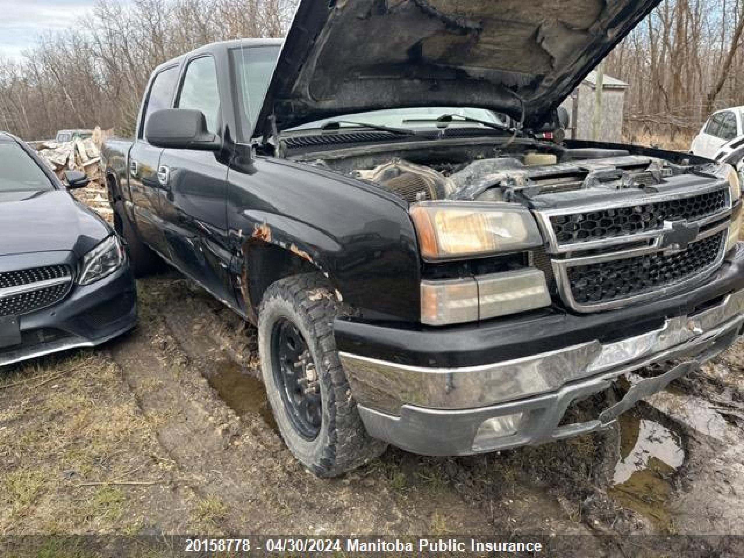 CHEVROLET SILVERADO 2006 2gcek13t161323515