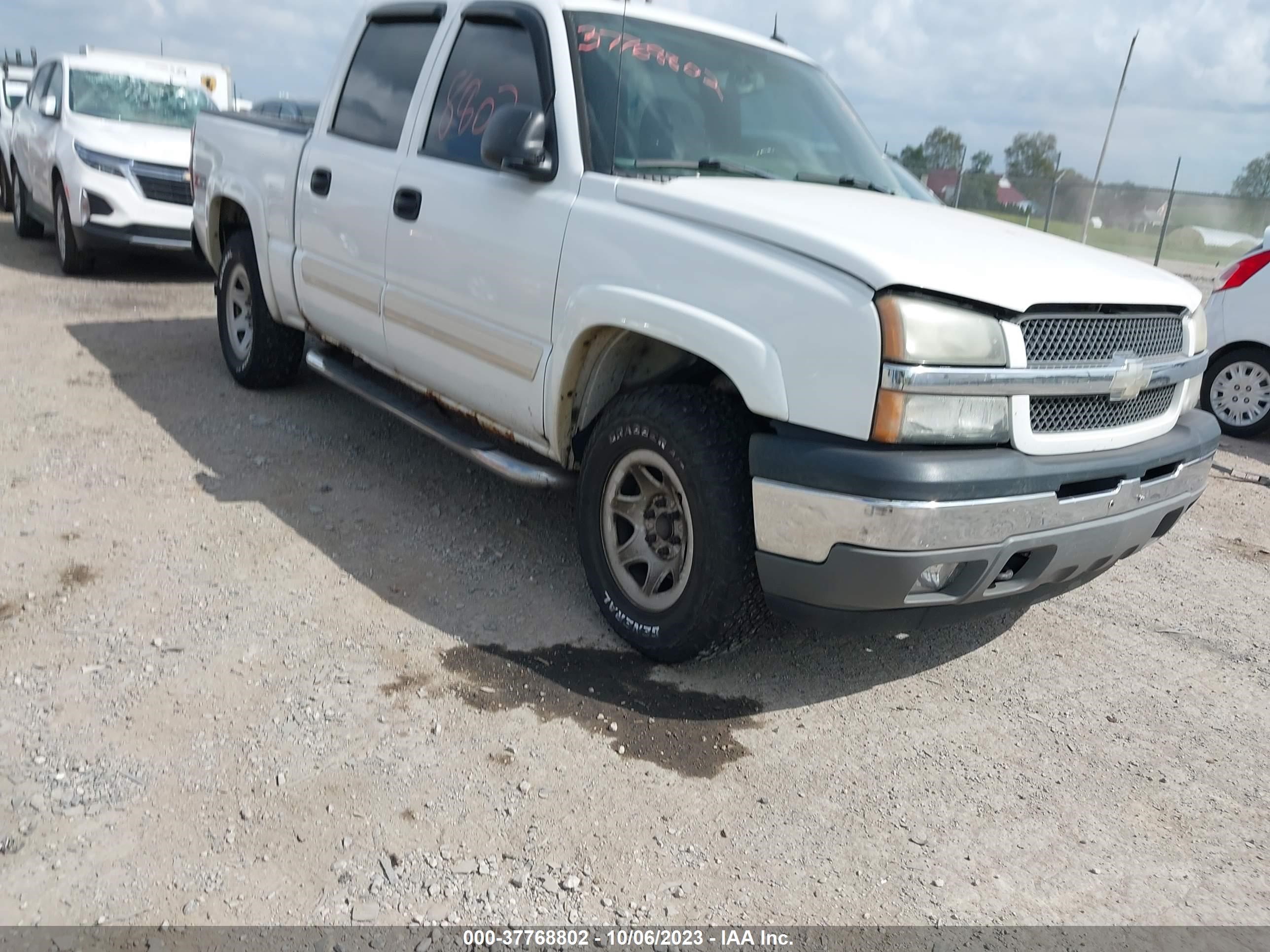 CHEVROLET SILVERADO 2005 2gcek13t551370688