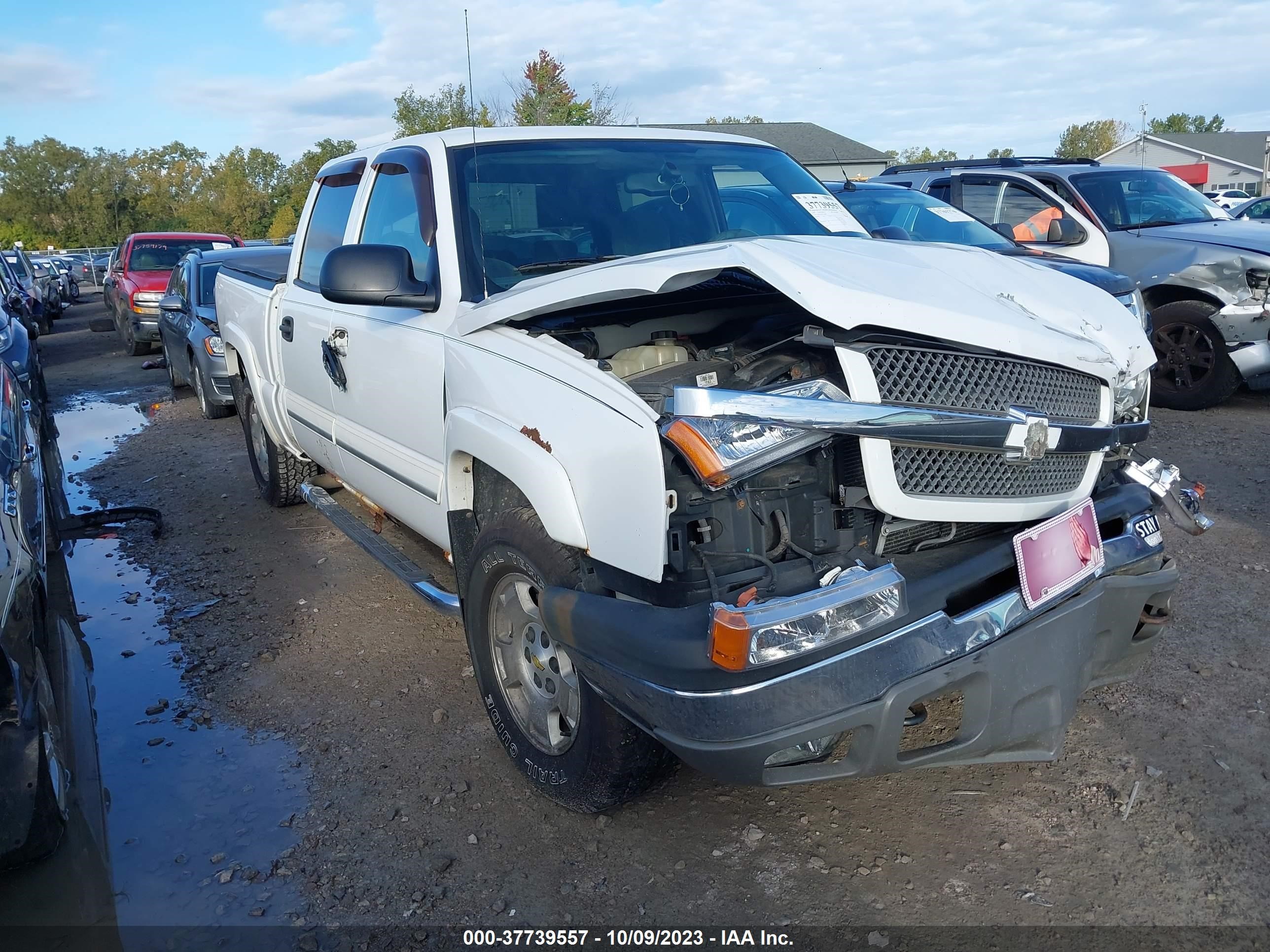 CHEVROLET SILVERADO 2004 2gcek13t941328068